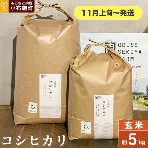 yӂ邳Ɣ[Łz RVqJ  5kg 10kg IׂeʁmԂt@[}[Yn    Ђ 쌧Yy2025N11{`z