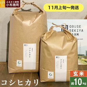 yӂ邳Ɣ[Łz RVqJ  5kg 10kg IׂeʁmԂt@[}[Yn    Ђ 쌧Yy2025N11{`z