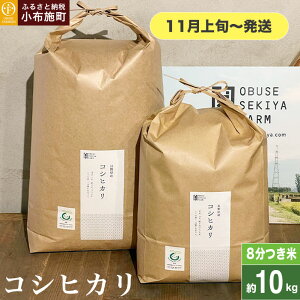 yӂ邳Ɣ[Łz RVqJ 8 5kg 10kg IׂeʁmԂt@[}[Yn 8Â    Ђ 쌧Yy2025N11{`z