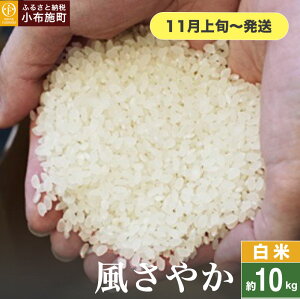 yӂ邳Ɣ[Łz ₩  5kg 10kg IׂeʁmԂt@[}[Yn    Ђ 쌧Yy2025N11{`z