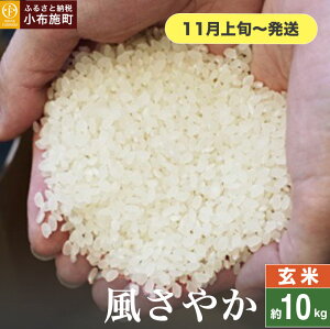 yӂ邳Ɣ[Łz ₩  5kg 10kg IׂeʁmԂt@[}[Yn    Ђ 쌧Yy2025N11{`z