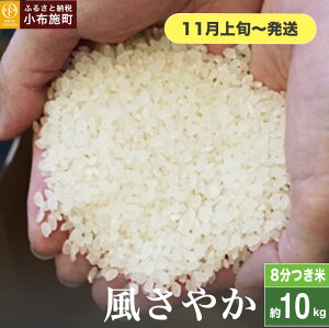 yӂ邳Ɣ[Łz ₩ 8 5kg 10kg IׂeʁmԂt@[}[Yn 8Â    Ђ 쌧Yy2025N11{`z
