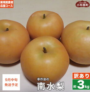 yӂ邳Ɣ[Łzy󂠂z 쐅 3kg mVKA_҉R[X Kn  Ȃ t[c ʕ PA  LY s 쌧Y MBY ʌ ߘa7NY y2025N9{z