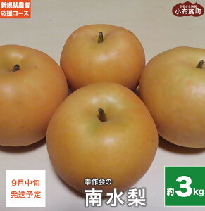 yӂ邳Ɣ[Łz 쐅 3kg mVKA_҉R[X Kn  Ȃ t[c ʕ 쌧Y MBY ʌ ߘa7NY y2025N9{z