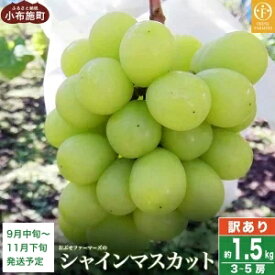 【ふるさと納税】【訳あり】シャインマスカット 約1.5kg 3～5房 ［おぶせファーマーズ］家庭用 果物 フルーツ ぶどう 規格外 不揃い 傷 令和7年産 【2025年9月中旬～11月下旬発送】