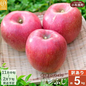 yӂ邳Ɣ[Łzy󂠂z Tӂ Iׂe 3kg 6`12 5kg 11`18 10kg 26`40 mԂt@[}[Yn ʕ t[c  s KiO ƒp ь S ӂ 쌧 