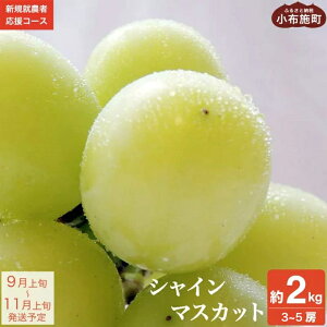 yӂ邳Ɣ[Łz VC}XJbg 2kg 3`5[ mVKA_҉R[X Kn Ԃǂ  uhE Y҉ ʕ t[c s\ ʌ ߘa7NY y2025N9{`11{