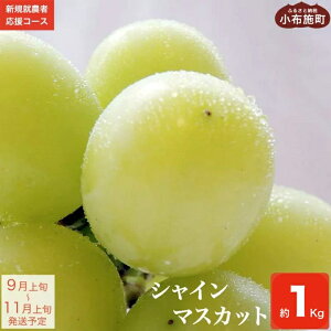 yӂ邳Ɣ[Łz VC}XJbg 1kg mVKA_҉R[X Kn Ԃǂ  uhE Y҉ ʕ t[c s\ ʌ ߘa7NY y2025N9{`11{z