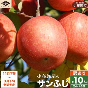 yӂ邳Ɣ[Łzy󂠂z Tӂ Iׂe 3kg 6`12 5kg 10`23 10kg 24`46 mz{n  ь S s KiO ʕ  t[c 쌧 ʌ Y