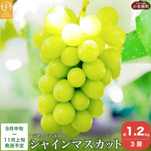 yӂ邳Ɣ[Łzs̔_Ɖ VC}XJbg[ 1.2kg 3[ mԂt@[}[Ynʕ t[c Yn 햳Ԃǂ ȂuhE  ʌ  MB ߘa7NY 