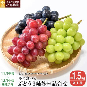 yӂ邳Ɣ[Łz~ɐHׂԂǂԂǂ3oR VC}XJbg  iKmp[v  NC[[WR l e1[ 1.5kg [Ԃt@[}[Y] ʌ ʕ t[c Ԃǂ 