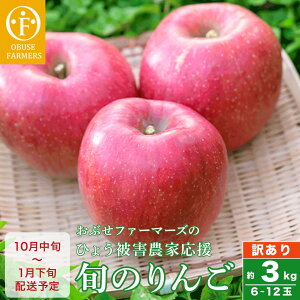 yӂ邳Ɣ[Łzy󂠂z Ђ傤Q_Ɖ 3kg 6`12ʁmԂt@[}[Yn Ђ傤Q s KiO ƒp  ь S ʕ t[c  MB ʌ y2025