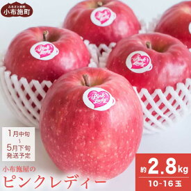 【ふるさと納税】ピンクレディー 約2.8kg 10～16玉［小布施屋］りんご 林檎 リンゴ フルーツ 果物 くだもの 長野産 信州産 【2026年1月～5月発送】