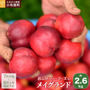 yӂ邳Ɣ[ŁzCOh 2.6kg mԂt@[}[Yns\ lN^ ʕ t[c   ① N[ 쌧Y MBY  ߘa8NYy2026N7{`8{