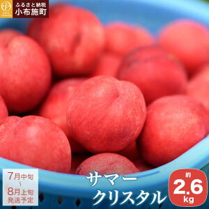 yӂ邳Ɣ[Łz T}[NX^ 2.6kg mԂt@[}[Yns\ lN^ ʕ t[c   ① N[ 쌧Y MBY  ߘa8NYy2026N7{`8