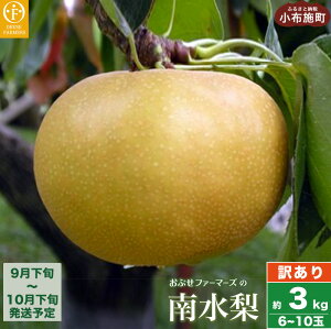 yӂ邳Ɣ[Łzy󂠂z쐅 3kg 6`10 [Ԃt@[}[Y]  Ȃʕ t[c ʕ PA  LY s KiO ƒp N[ ①  MB s\ ʌy2025N