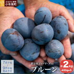 プルーン 約2kg ［おぶせファーマーズ］ 果物 フルーツ 長野県産 信州産 クール便 冷蔵便 産地直送 令和6年産 【2024年7月下旬?9月中旬発送】