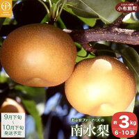信州生まれの糖度の高い人気の和梨