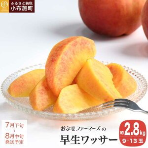 yӂ邳Ɣ[ŁzbT[ 2.8kg 9`13 mԂt@[}[Ynʕ t[c 쌧Y MBY N[ ① 쌧Y MBY s\ ʌ Yn   Yn 