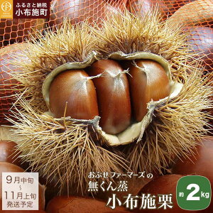 yӂ邳Ɣ[Łz z{I 1kg 2kg eʂIׂ mԂt@[}[Yn I  ʕ t[c s\ ʌ N[ ① 쌧Y MBY H n Yi Y