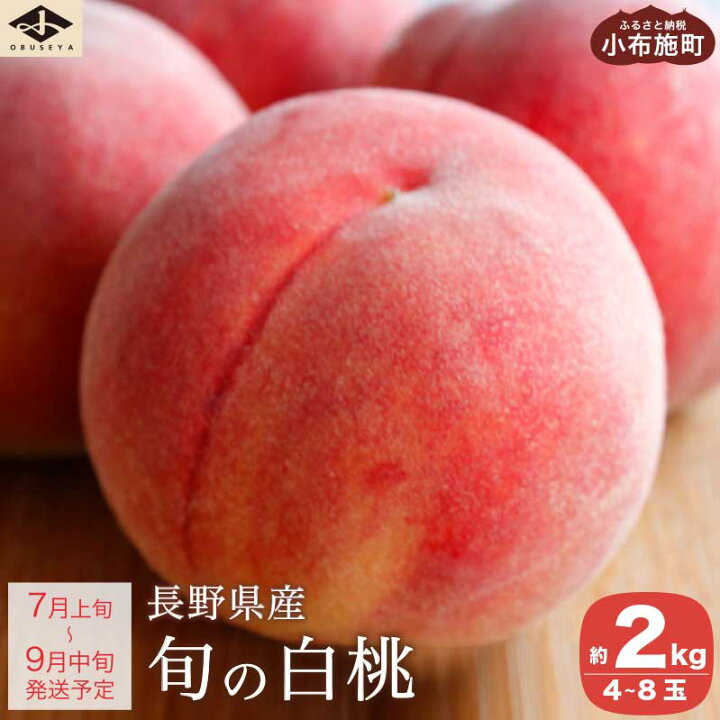 だて白桃 もも 桃 フルーツ 果物 長野県産