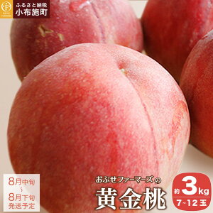 yӂ邳Ɣ[Łz 3kg 7`12 mԂt@[}[Yn   s[` t[c ʕ 쌧Y MBY N[ ① s\ ʌ Yn   Yn ߘa8