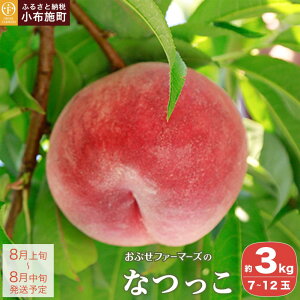 yӂ邳Ɣ[ŁzȂ 3kg 7`12 mԂt@[}[Yn   s[` t[c ʕ s\ 쌧Y MBY N[ ① Yn   Yn ʌ 