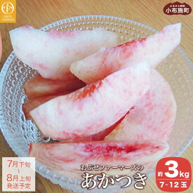 【ふるさと納税】あかつき 約3kg 7～12玉 ［おぶせファーマーズ］ 桃 もも モモ ピーチ 先行予約 数量限定 フルーツ 果物 長野県産 信州産 クール便 冷蔵便 産地 直送 お取り寄せ 産地直送 令和6年産【2024年7月下旬〜8月上旬発送】