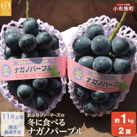 【ふるさと納税】冬に食べるナガノパープル 約1kg 2房 ［おぶせファーマーズ］果物 フルーツ ぶどう ブドウ 数量限定 信州産 令和8年産【2026年11月上旬～順次出荷】