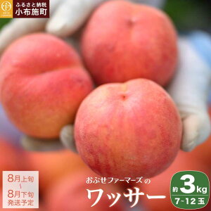 yӂ邳Ɣ[ŁzbT[ 3kg 7`12 mԂt@[}[Ynʕ t[c s\ 쌧Y MBY s\ ʌ N[ ①  Yn  ߘa8NYy2026