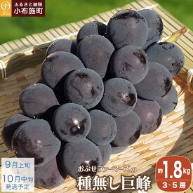 【ふるさと納税】【選べる】種無し巨峰 約1.8kg 3〜4房 約4kg 8〜12房［ おぶせファーマーズ ］| 果物類 フルーツ 葡萄 ぶどう ブドウ 長野県産 信州産 先行予約 数量限定 冷蔵便 クール便 令和8年産【2026年9月上旬〜10月中旬発送】
