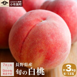 yӂ邳Ɣ[Łz s\  I {̔ 900g 2kg 3kg Iׂ e mz{n 쌧Y    t[c ʕ 쌧Y MBY N[ ① ܂ Ȃ  