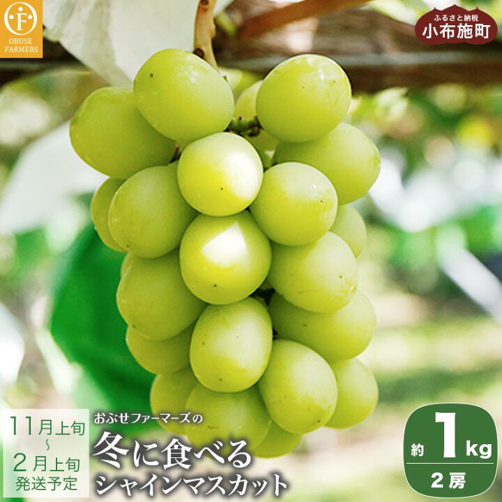 楽天市場 ふるさと納税 冬に食べる氷温冷蔵シャインマスカット 約1kg 2房 おぶせファーマーズ ぶどう ブドウ 葡萄 フルーツ 果物 くだもの 長野 信州 22年11月上旬 23年2月上旬発送 長野県小布施町