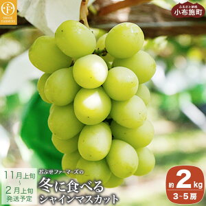 yӂ邳Ɣ[Łz~ɐHׂVC}XJbg 500g 1[ & 1kg 2[ & 2kg 3`5[ m Ԃt@[}[Y nԂǂ uhE  t[c ʕ   MB y2025N11{`2026N2