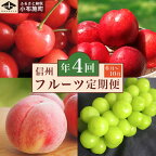 ［4回定期便］ 小布施のフルーツ4回コース ［小布施屋］定期便 先行予約 フルーツ 数量限定 さくらんぼ 白桃 ネクタリン シャインマスカット ぶどう クール便 冷蔵 お楽しみ 長野県産 信州産 令和6年産【2024年6月中旬～10月発送】