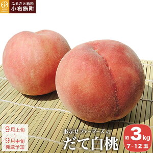 yӂ邳Ɣ[Łz Ĕ 3kg 7`12 mԂt@[}[Ynd     s[` t[c ʕ s\ ʌ 쌧Y MBY N[ ①  Yn 