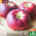 【訳あり】 秋映 約3kg 6～12玉［おぶせファーマーズ］ 不揃い 規格外 家庭用 りんご 林檎 リンゴ 果物 フルーツ 長野県産 信州産 先行予約 数量限定 令和6年産 【2024年9月下旬～10月中旬発送】