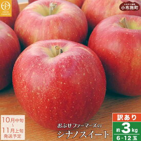 【ふるさと納税】【訳あり】 シナノスイート 約3kg 6～12玉［おぶせファーマーズ］ 不揃い 規格外 家庭用 りんご 林檎 リンゴ 果物 フルーツ 長野県産 信州産 先行予約 数量限定 6000円 令和6年産 【2024年10月中旬〜11月上旬発送】