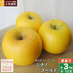【訳あり】 シナノゴールド 約3kg 6～12玉［おぶせファーマーズ］不揃い 規格外 家庭用 りんご 林檎 リンゴ 果物 フルーツ ふじ 長野 信州 数量限定 6000円 令和6年産 【2024年10月中旬?2025年1月上旬発送】