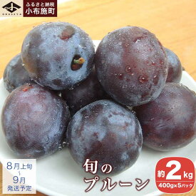 【ふるさと納税】長野県産 旬のプルーン 約2kg ［小布施屋］ 生プルーン 果物 フルーツ 長野県産 信州産 先行予約 数量限定 夏 令和8年産 【2026年8月上旬～9月発送】