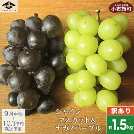 【ふるさと納税】【訳あり】シャインマスカット ＆ ナガノパープル 約1.5kg ［小布施屋］家庭用 規格外 不揃い 傷 果物 フルーツ ぶどう 葡萄 ブドウ 数量限定 期間限定 クール便 冷蔵便 令和8年産 【2026年9月中旬～10月下旬発送】