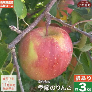 yӂ邳Ɣ[Łzy󂠂z G߂̂ 3kg mVKA_҉R[X Kn  ь S s KiO ʕ t[c  MB 3kg Yn Y ʌ s\ Y҉