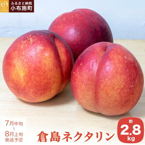 yӂ邳Ɣ[Łz qlN^ 2.8kg mԂt@[}[Yn s\ lN^ ʕ t[c   ① N[ 쌧Y MBY ߘa8NYy2026N7{`8{z