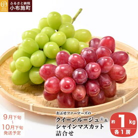 【ふるさと納税】クイーンルージュ®＆シャインマスカット詰合せ 各1房 約1kg ［おぶせファーマーズ］ ぶどう セット 食べ比べ 2種 各 1房 葡萄 ブドウ 果物 フルーツ令和8年産 【2026年9月下旬～10月下旬発送】