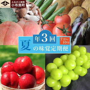 �y�ӂ邳�Ɣ[�Łz�m3�����ցn �Ă̖��o3��R�[�X �m���z�{���n ��s�\�� �t���[�c �ʕ� �������� ��� �₳�� ���ʌ��� �l�N�^���� �� �V���C���}�X�J�b�g �Ԃǂ� �N�[���� �① ���y���� 