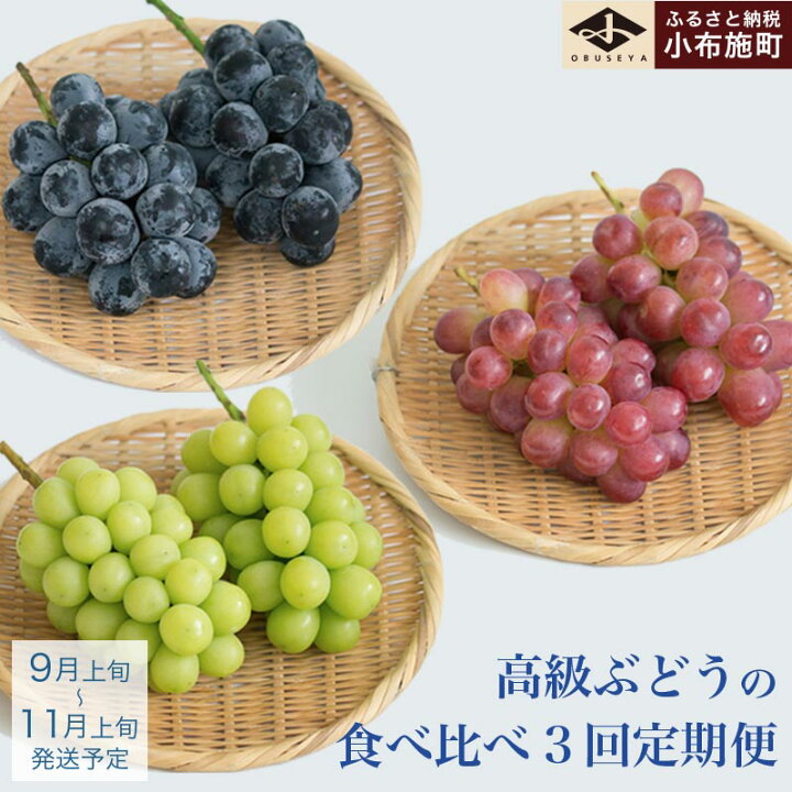 楽天市場】【ふるさと納税】［3回定期便］ 高級ぶどう食べ比べ定期便 