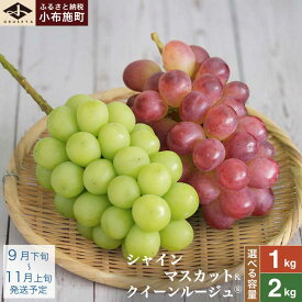 【ふるさと納税】シャインマスカット＆クイーンルージュ® 約1kg 約2kg 選べる内容量 ［小布施屋］ぶどう 食べ比べ フルーツ 果物 くだもの 葡萄 ブドウ クール便 冷蔵 お楽しみ 長野県産 信州産 令和8年産 【2026年9月下旬～11月上旬発送】