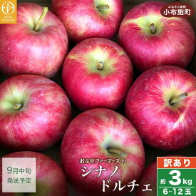 【ふるさと納税】【訳あり】シナノドルチェ 約3kg 6〜12玉［ おぶせファーマーズ ］数量限定 期間限定 果物類 林檎 りんご リンゴ 規格外 不揃い フルーツ 長野県産 信州産 6000円 令和6年産 【2024年9月中旬発送】