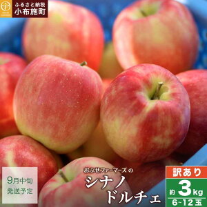 yӂ邳Ɣ[Łzy󂠂zVimh`F 3kg 6`12 m Ԃt@[}[Y n ʌ Ԍ ʕ ь  S KiO s t[c 쌧Y MBY 6000~ ߘa7NY 