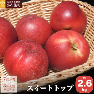 yӂ邳Ɣ[ŁzXC[ggbv 2.6kg mԂt@[}[Yn lN^ ʕ t[c    z{ ① N[ ߘa8NY y2026N7{`8{z